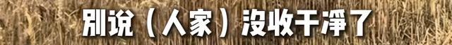 河南矿山再发520万“三夏”红包 联络20多年关爱职工
