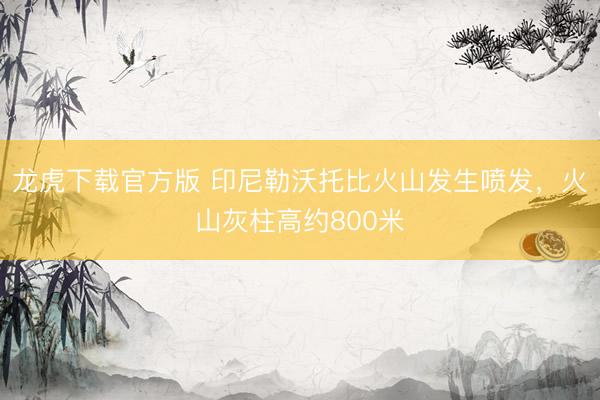 龙虎下载官方版 印尼勒沃托比火山发生喷发，火山灰柱高约800米